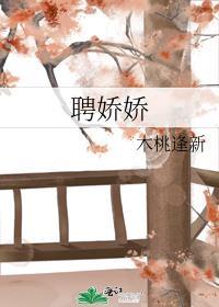 聘娇娇TXT资源