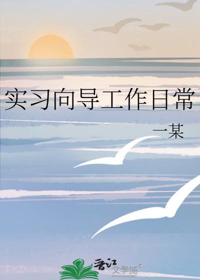 实习向导工作日常一某