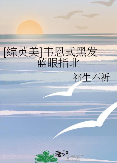 韦恩小姐 综英美