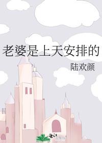 老婆是上天安排的番外陆欢颜免费