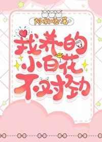 我养的小花作文