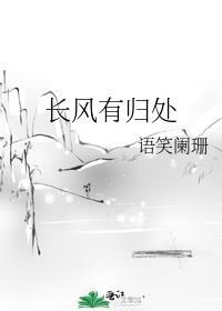 长风有归处剧透