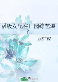 满级女配在田园综艺爆红 作者羽轩W