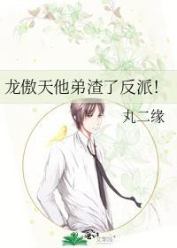 龙傲天他弟渣了反派!(丸二缘)