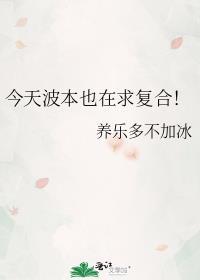 波本什么时候出现