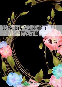 装beta后我迎娶了顶A元帅笔趣阁免费阅读
