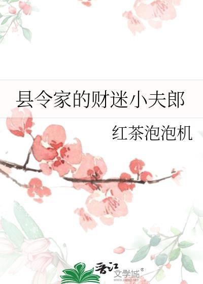 县令家的财迷小夫郎by红茶泡泡机  pan