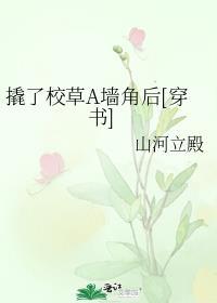 撬了校草a墙角后[穿书