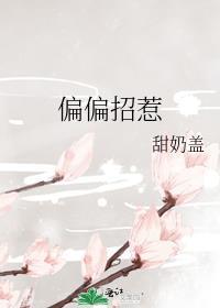 偏偏招惹尽仙孟屿正版阅读