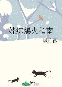 娃综爆火指南讲的是什么