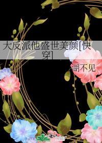 反派他盛世美颜剧透