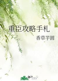 重臣攻略手册番外