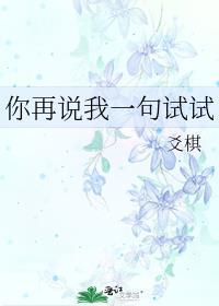 你再说我一句试试讲的什么