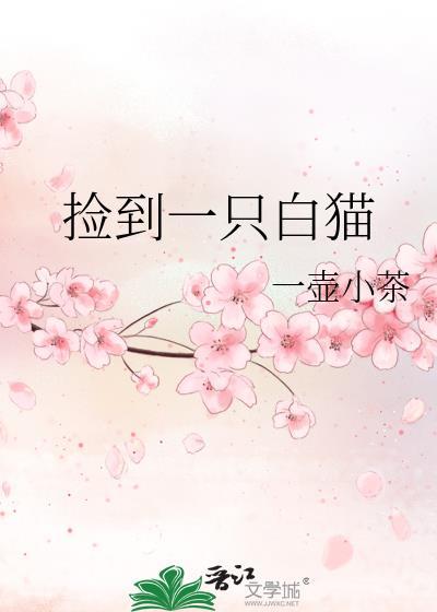 捡到白猫会招财