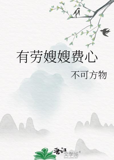 有劳嫂嫂费心了讲的什么