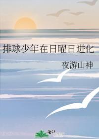 排球少年在日曜日进化晋江