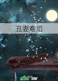 丑妻难追最新章节更新免费阅读