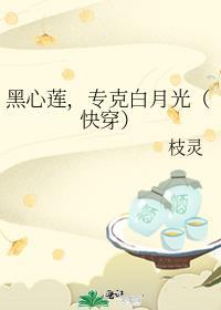 黑心莲男二攻略指南