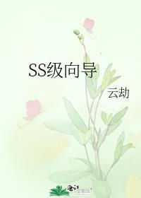 SS级向导